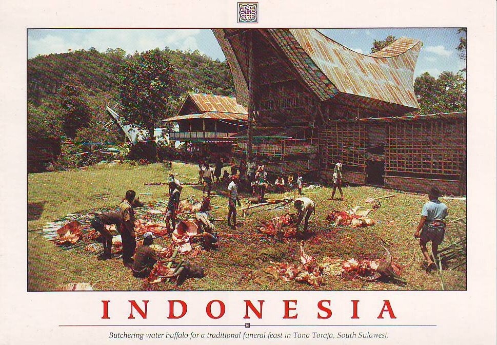 http://therighteousdude.dreamhosters.com/travel/images/toraja.jpg